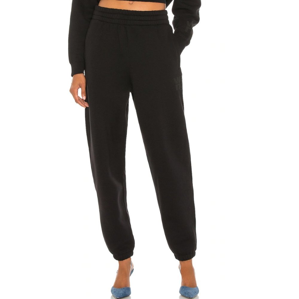 Alexander Wang Foundation Terry Classic Sweatpant in Kohl Size Small